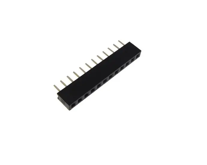 12-Pin Female 2.54mm Pitch Header (10 Pack)