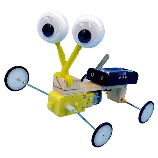 [KIT-006] STEM Educational Toy - DIY Reptile Robot