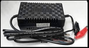 [PWR-019] 12V 2A Gamistar Pulse Charger
